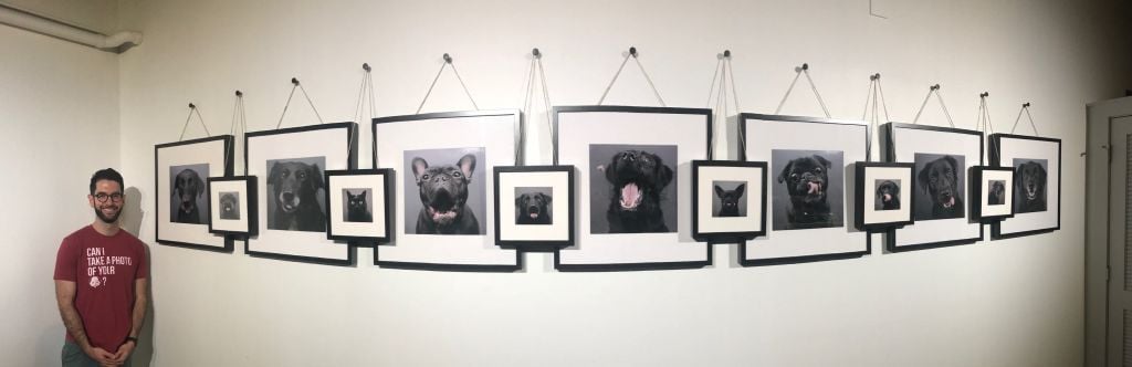 Photo Gallery Sheds Light on Black Pet Syndrome and Adoption