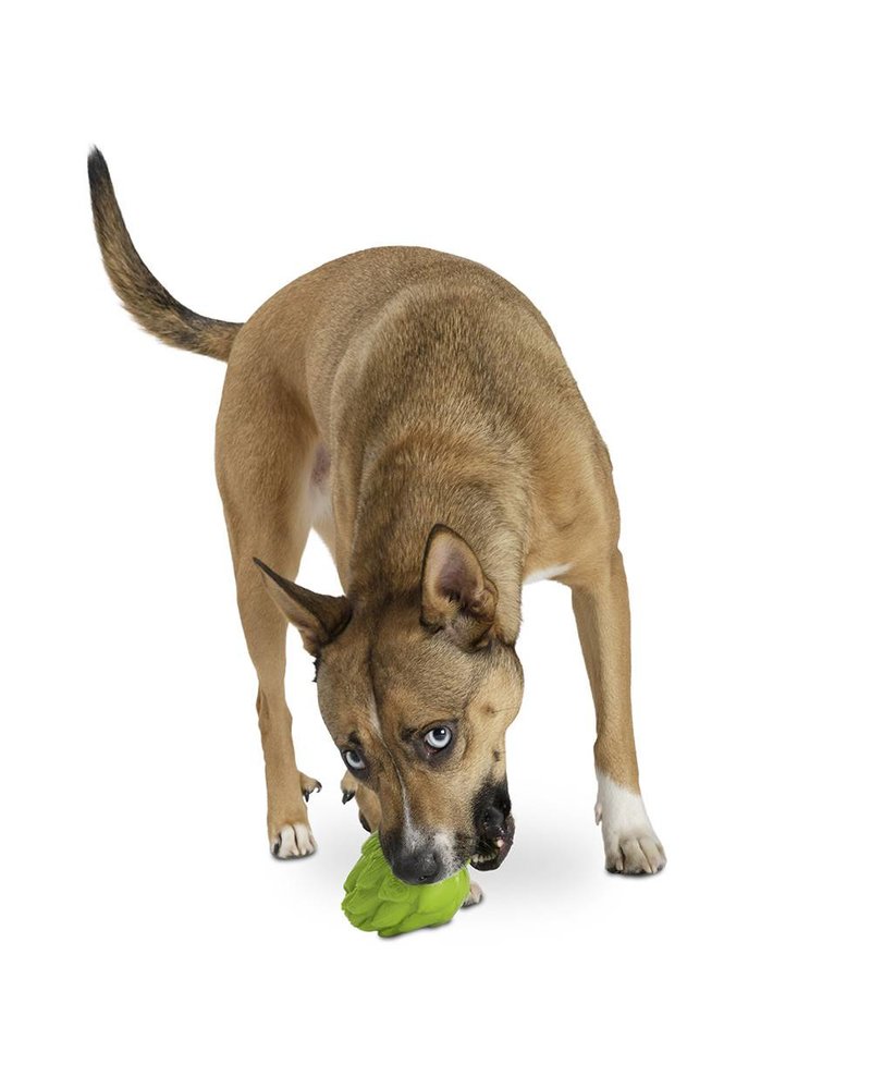 artichoke dog toy
