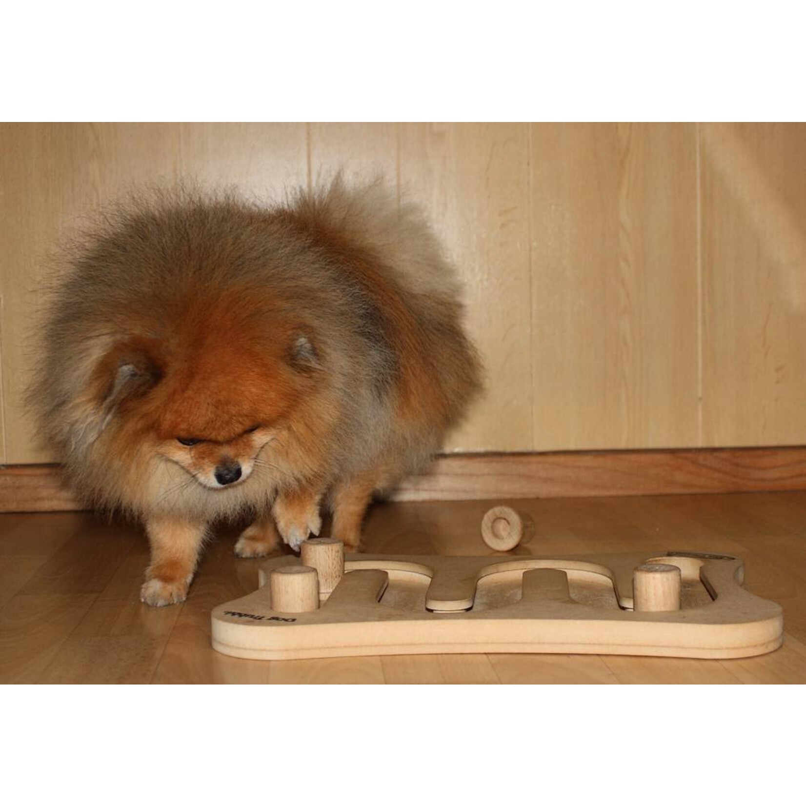 Nina Ottosson Puzzle Dog Toy - Treat Tumble - Large - Red