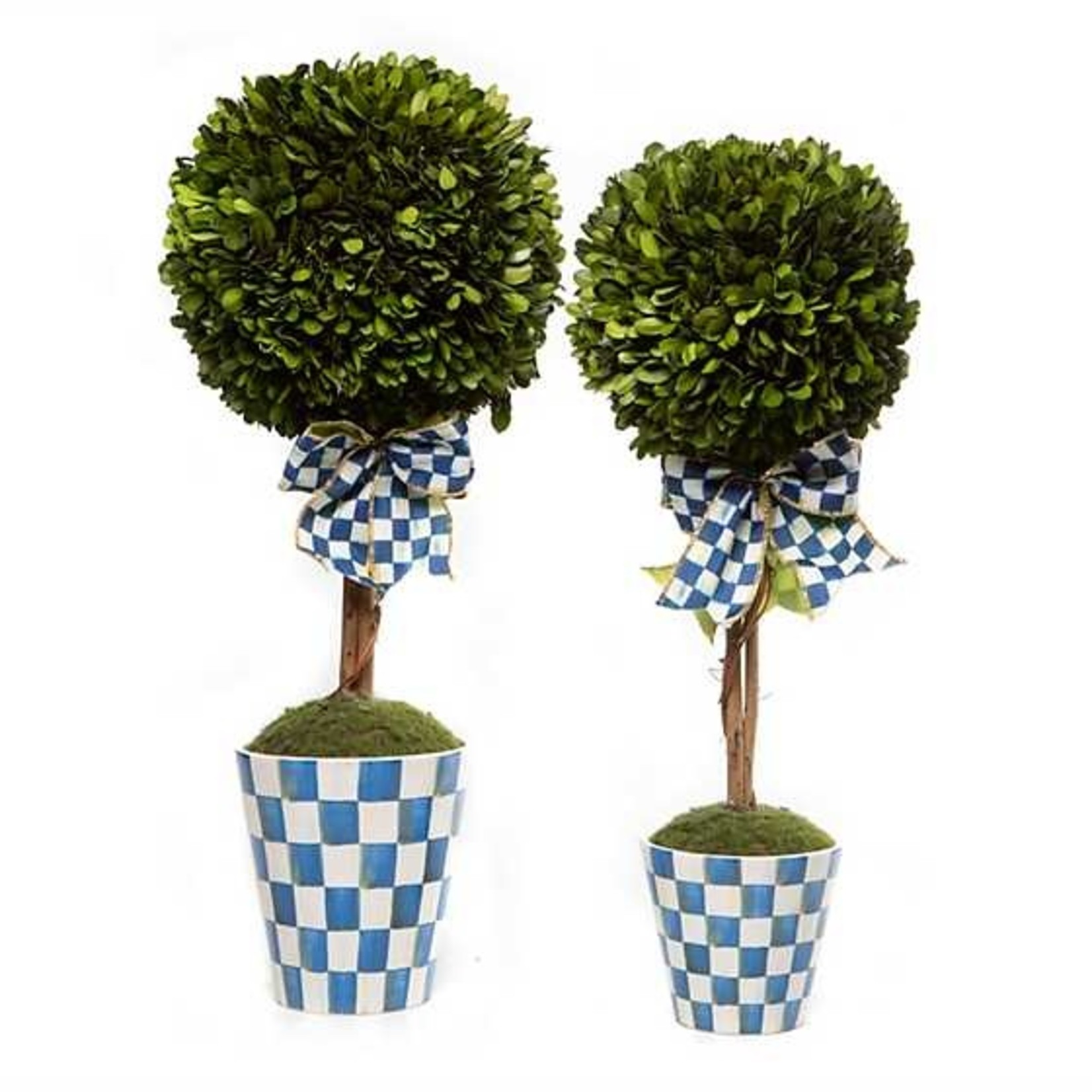MacKenzie Childs Royal Boxwood Topiary Drop In - Small