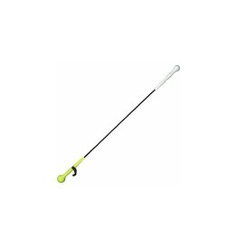RAWLINGS Easton Baseball/Softball Training Stick