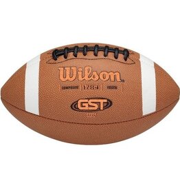 WILSON Wilson GST Composite Football