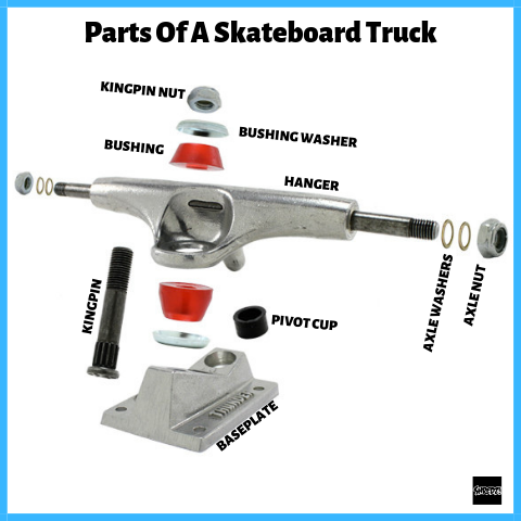 Parts Of A Skateboard Truck - Hanger, Kingpin, Pivot Cut, bushings, axle nuts, baseplate