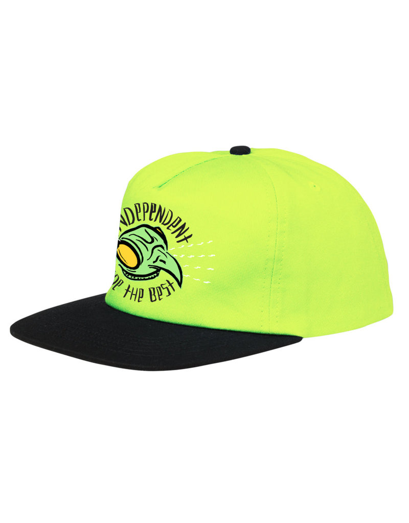 Tony Hawk Independent Transmission hat 