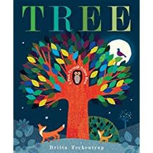 The Birch Store Tree - A Peek Through Book