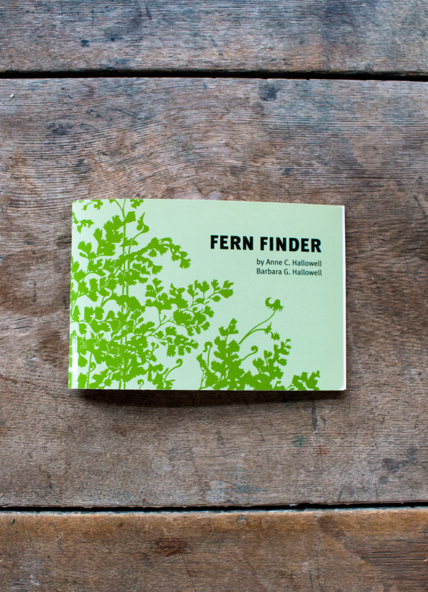 The Birch Store Fern Finder