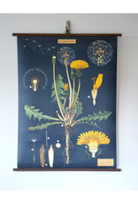 Cavallini Dandelion School Chart