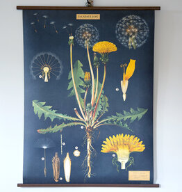 Cavallini Dandelion School Chart
