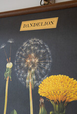 Cavallini Dandelion School Chart