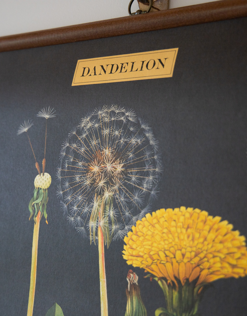 Cavallini Dandelion School Chart