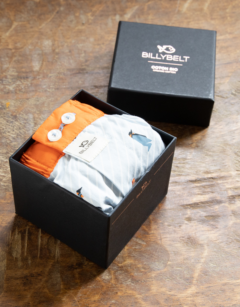 Billybelt Organic Boxers