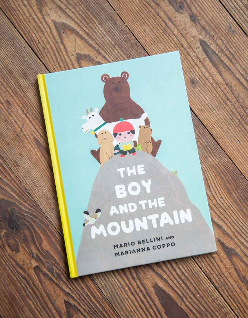 The Birch Store The Boy and the Mountain Book