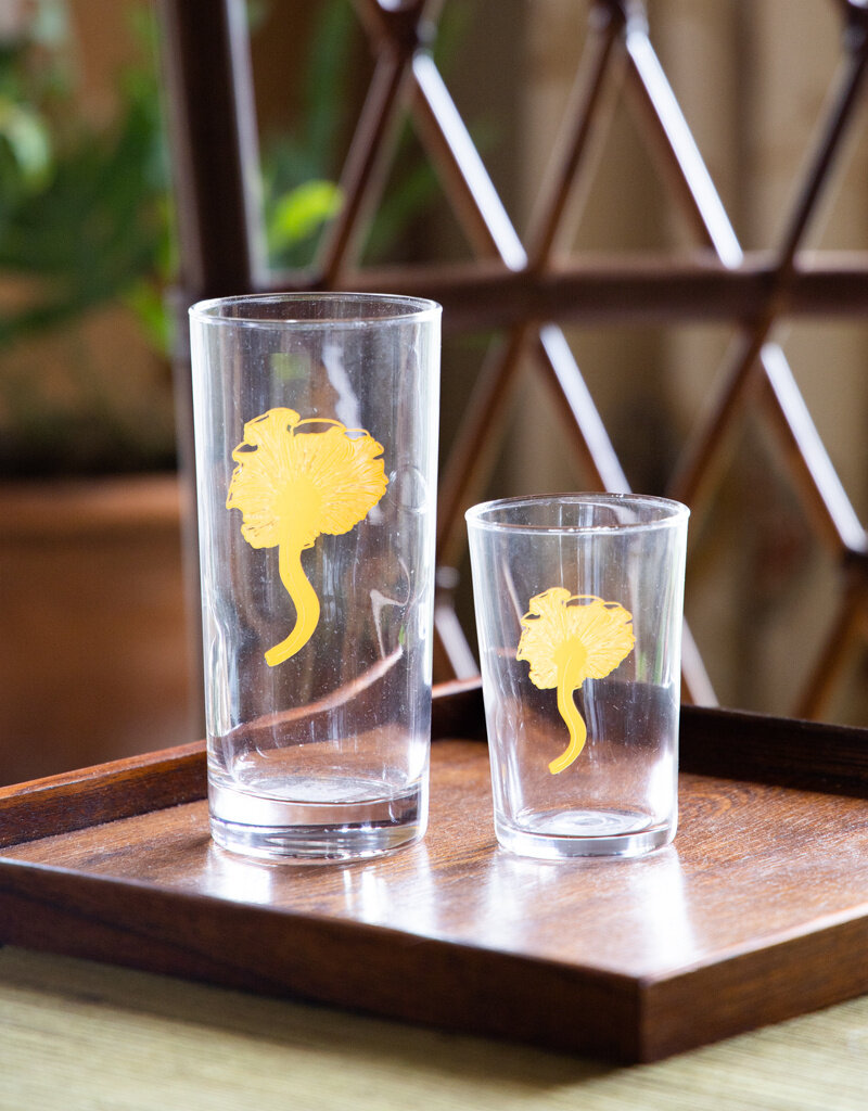 The Birch Store Set of 4 Botanical Collins Glasses