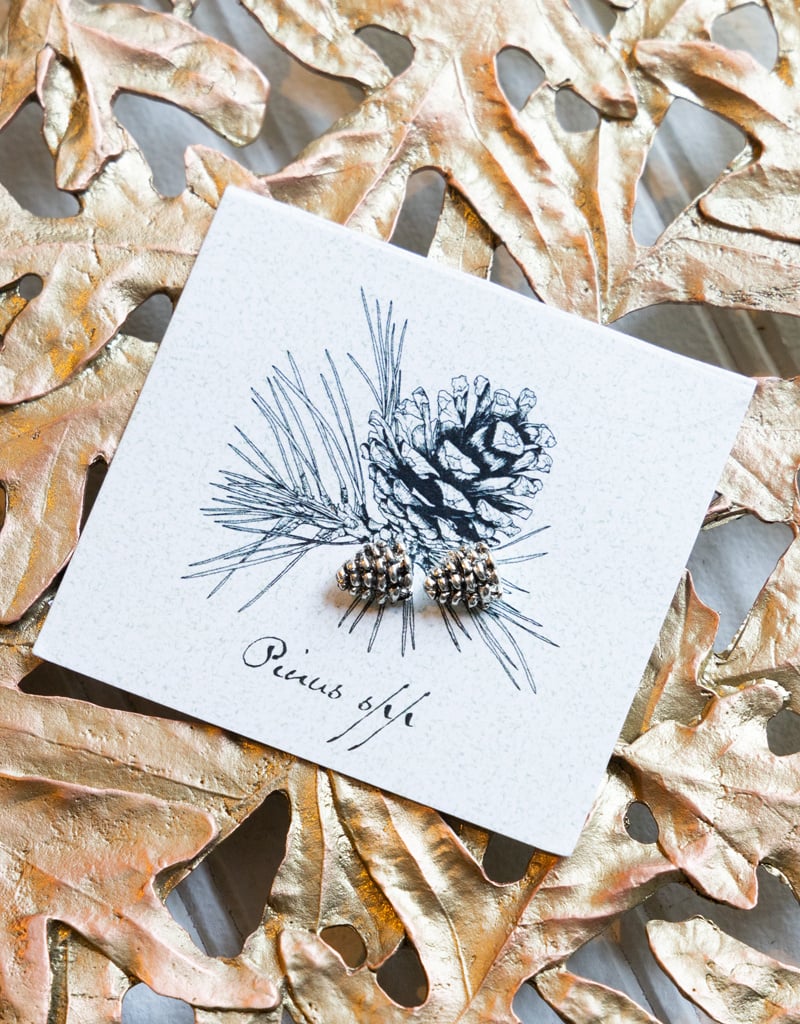 The Birch Store Pine Cone Stud Earrings Silver