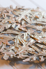 The Birch Store Oak Leaves Trivet