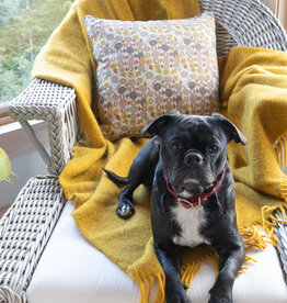 The Birch Store Gotland Wool Yellow Throw
