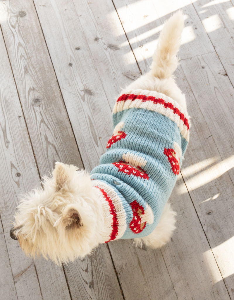 Chilly Dog Cozy Mushroom Pattern Dog Sweater