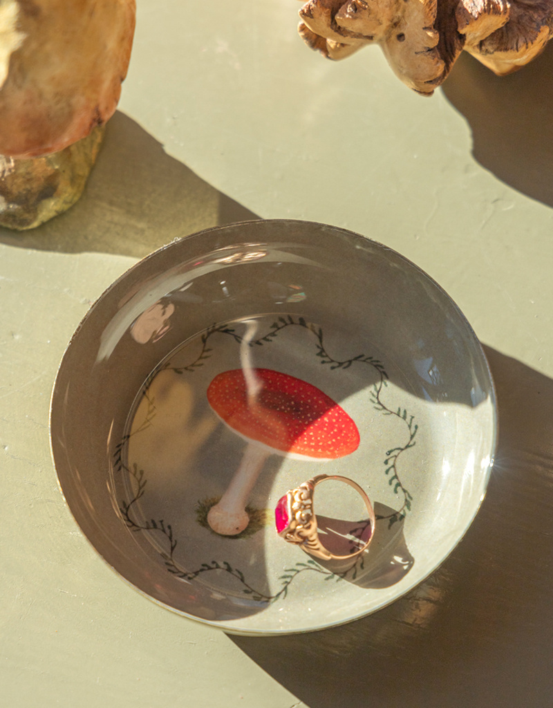 Roomytown Inc Mushroom Printed Enamel Round Tray