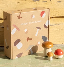 Living Refinery Wooden Forest Mushroom Box