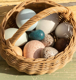 Living Refinery A Dozen Wooden Bird Eggs