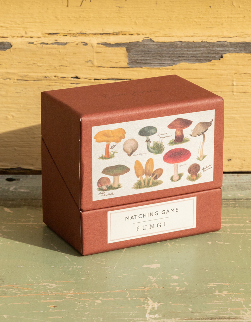 Roomytown Inc Matching Game Fungi or Watercolor Swatches