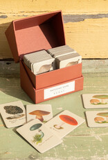 Roomytown Inc Matching Game Fungi or Watercolor Swatches