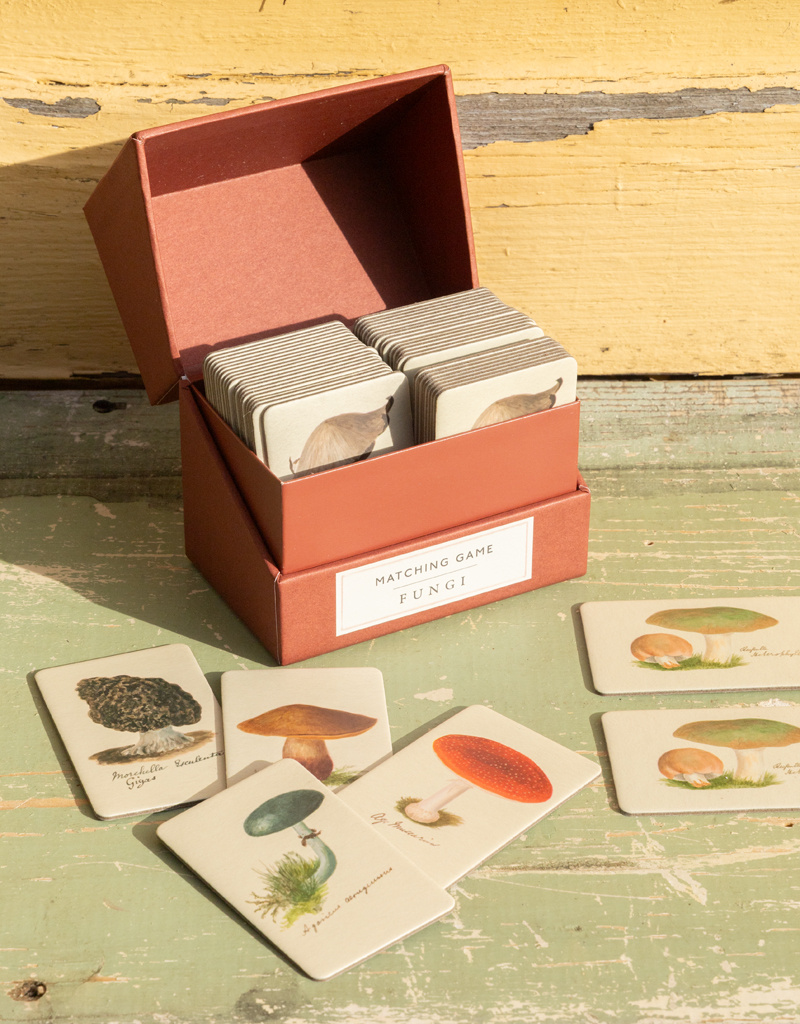 Roomytown Inc Matching Game Fungi or Watercolor Swatches