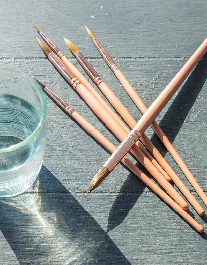 Wonder Forest Watercolour Brush Set of 6