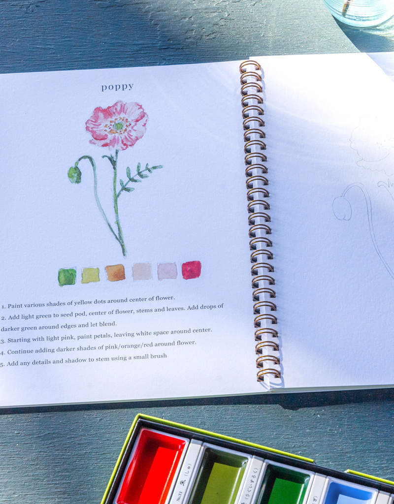 Emily Lex Studio Watercolor Workbook: Choice of 5 styles