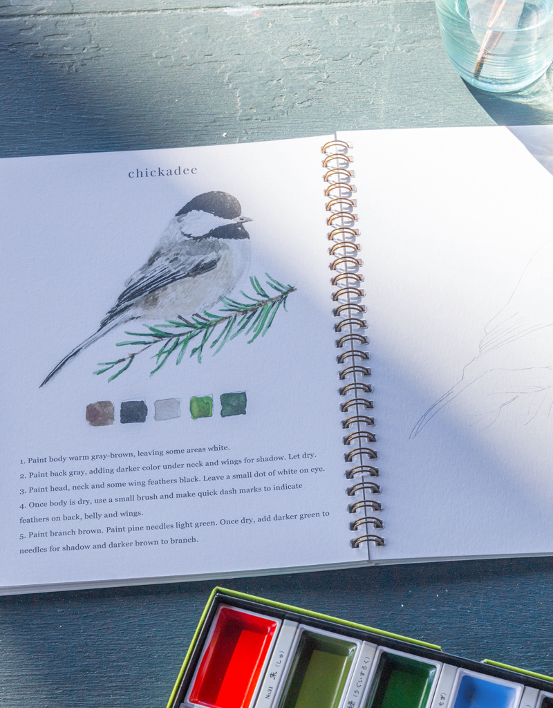 Emily Lex Studio Watercolor Workbook: Choice of 5 styles