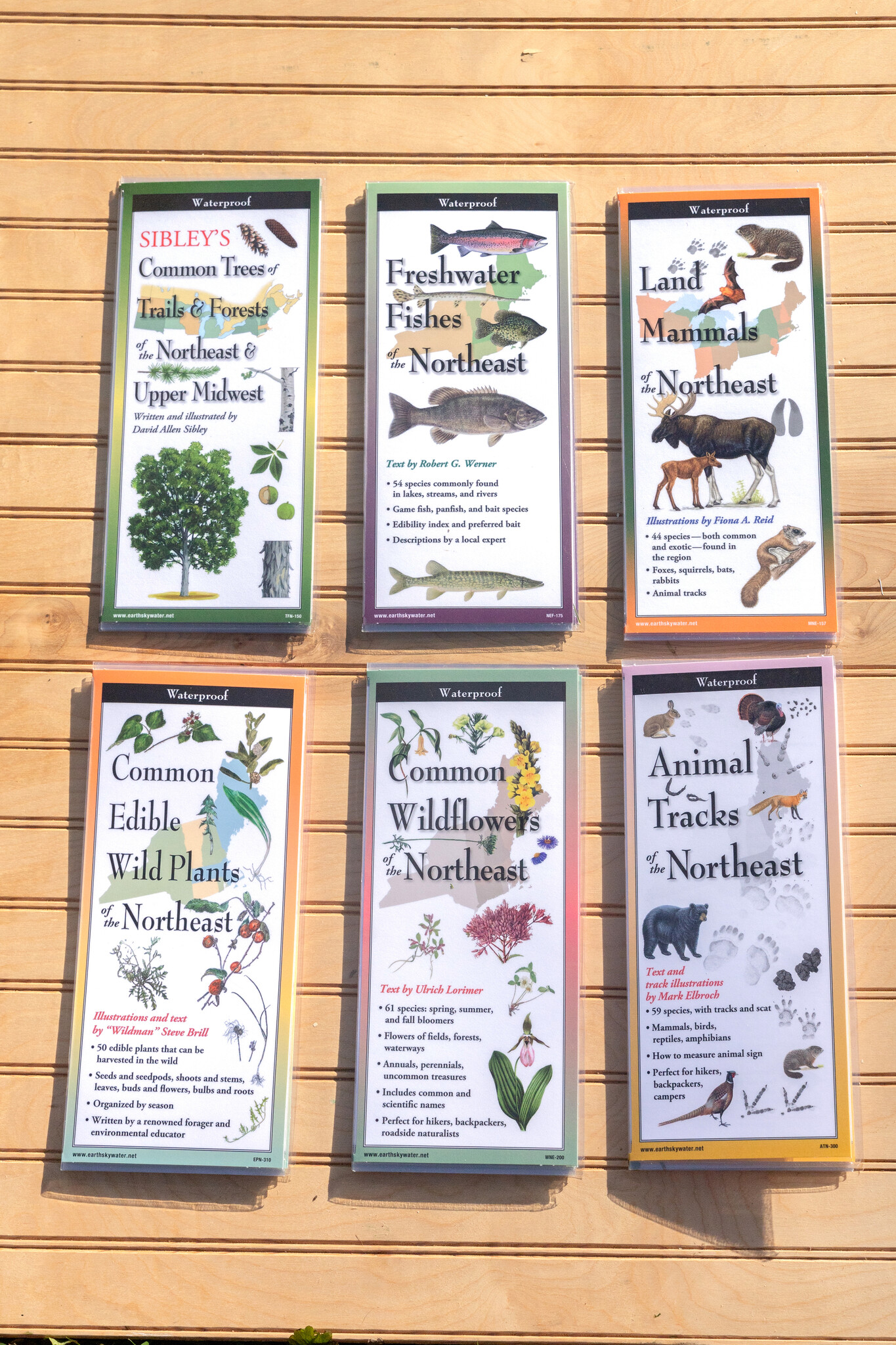 Earth, Sky + Water ADK Folding Wildlife Guide: Choice of 6!