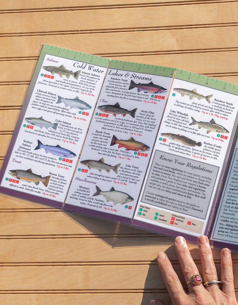 Earth, Sky + Water ADK Folding Wildlife Guide: Choice of 6!