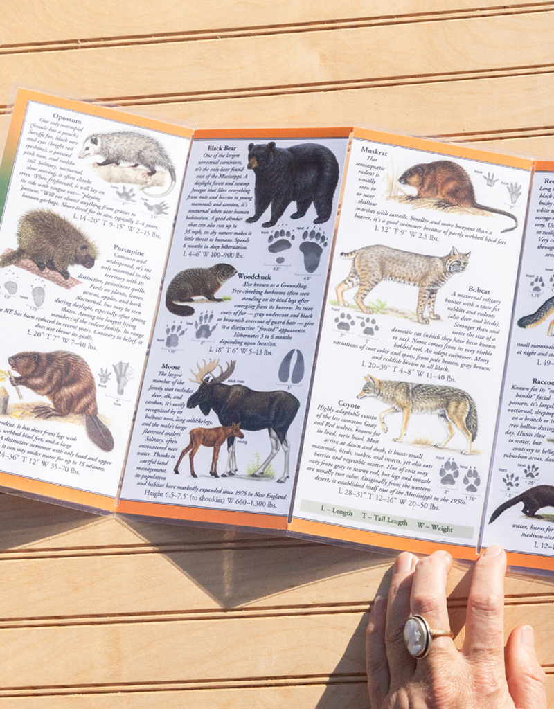 Earth, Sky + Water ADK Folding Wildlife Guide: Choice of 6!