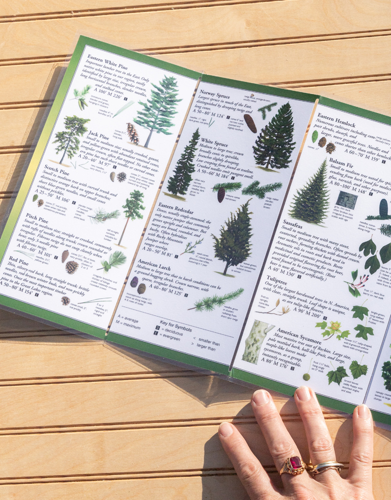 Earth, Sky + Water ADK Folding Wildlife Guide: Choice of 6!