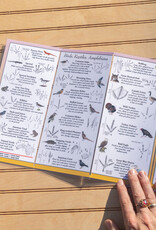 Earth, Sky + Water ADK Folding Wildlife Guide: Choice of 6!