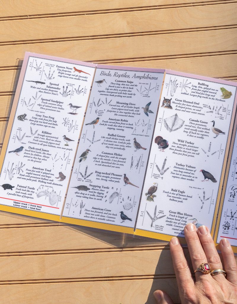 Earth, Sky + Water ADK Folding Wildlife Guide: Choice of 6!