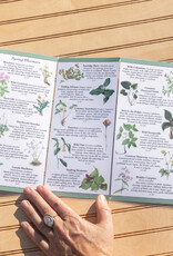 Earth, Sky + Water ADK Folding Wildlife Guide: Choice of 6!