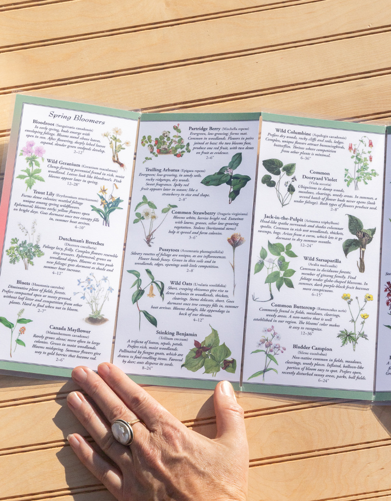 Earth, Sky + Water ADK Folding Wildlife Guide: Choice of 6!