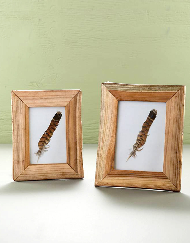 The Birch Store Reclaimed Wood Frame 4 x 6