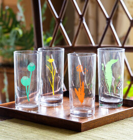 The Birch Store Set of 4 Botanical Collins Glass^ Bright