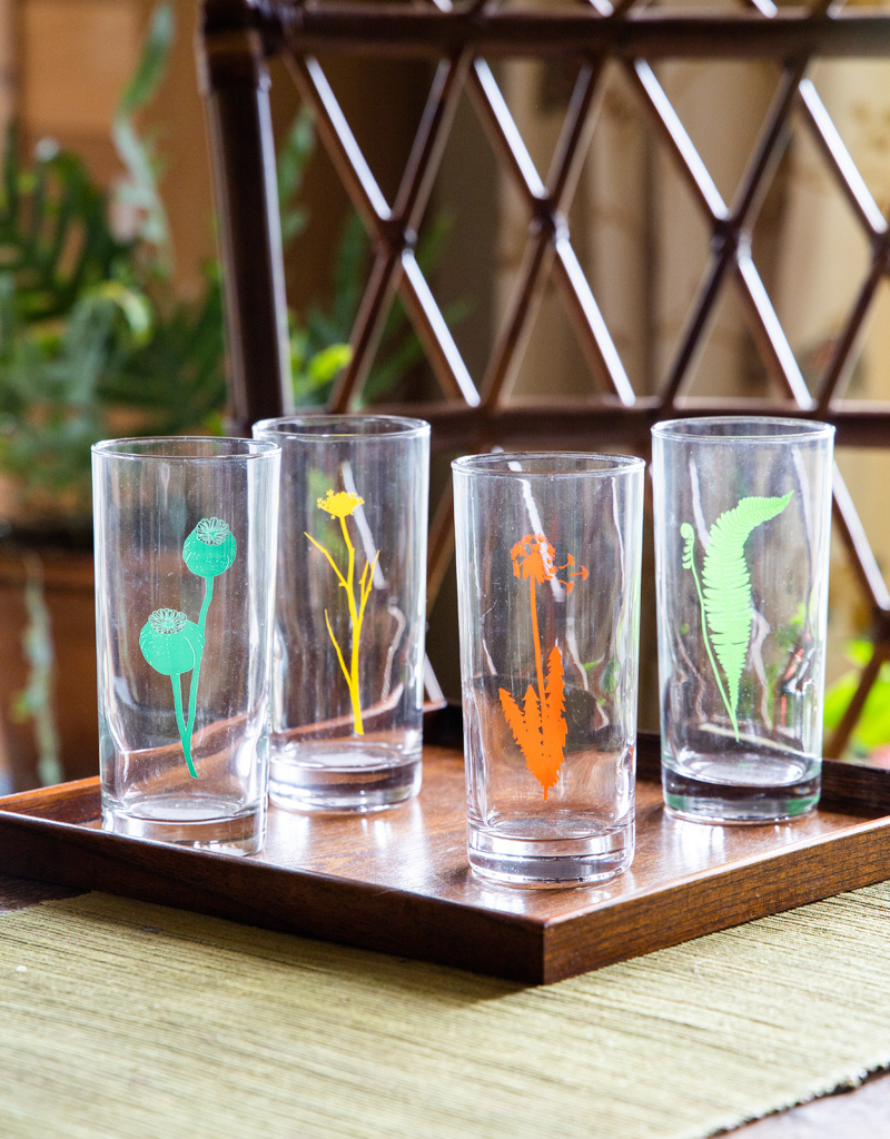 The Birch Store Set of 4 Botanical Collins Glass^ Bright