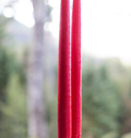 Mole Hollow 10 inch Tapered Candles Set of 2