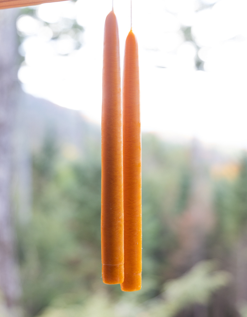 Mole Hollow 10 inch Tapered Candles Set of 2