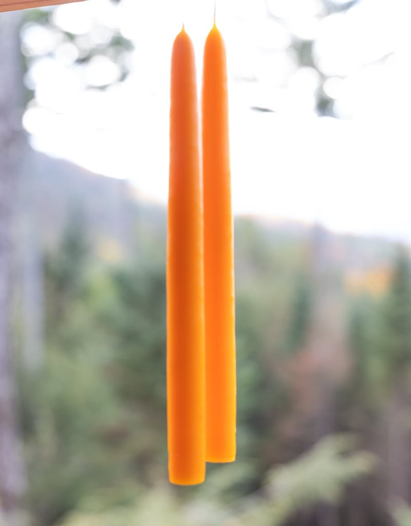 Mole Hollow 10 inch Tapered Candles Set of 2