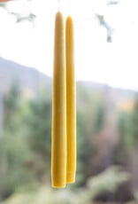 Mole Hollow 10 inch Tapered Candles Set of 2