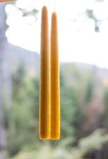 Mole Hollow 10 inch Tapered Candles Set of 2