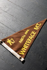 ADK Pillow Adirondack Pennant