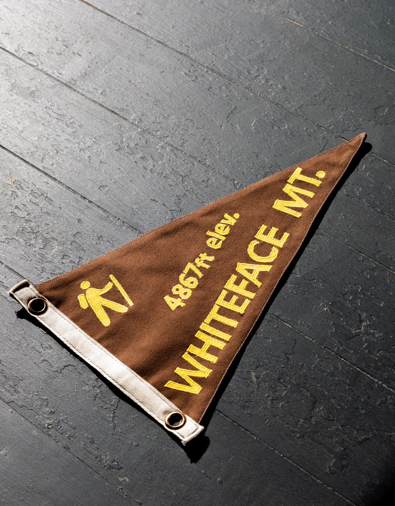 ADK Pillow Adirondack Pennant