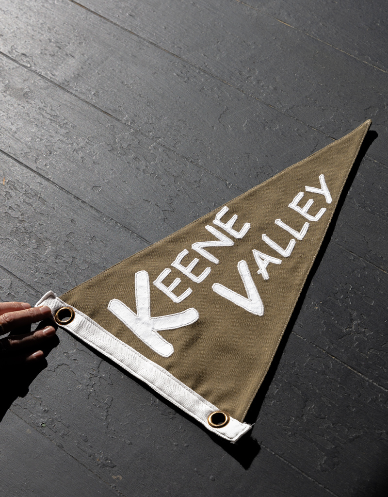 ADK Pillow Adirondack Pennant