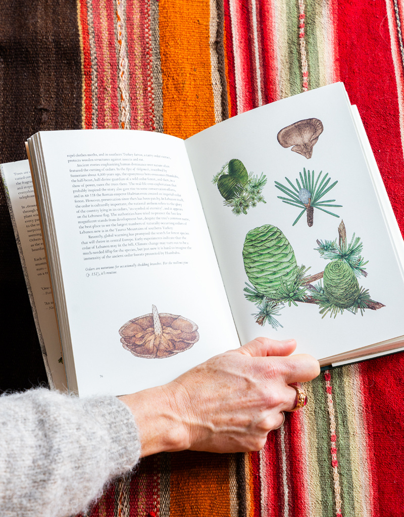 Chronicle Around the World in 80 Trees Book